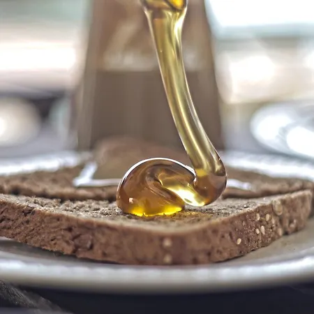 Brazzera 3* 피니카스